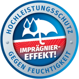 Remmers_Siegel_Imraegniereffekt_RZ