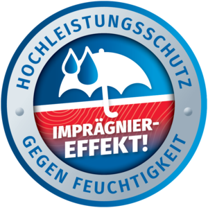 Remmers_Siegel_Imraegniereffekt_RZ